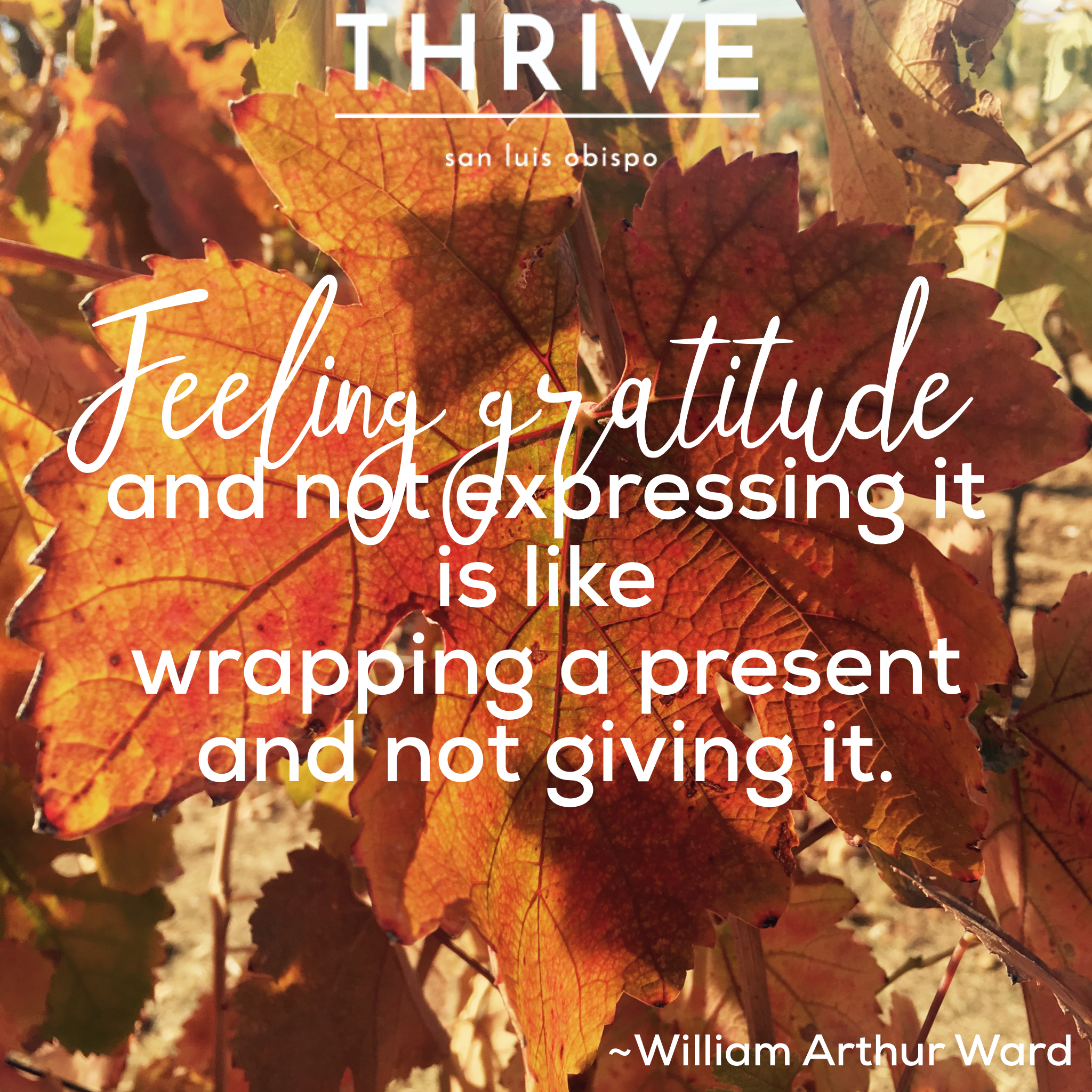 Express Your Gratitude